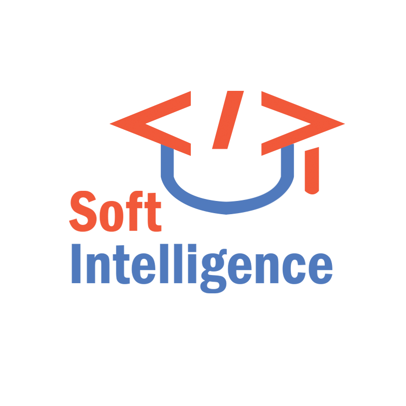 Soft Intelligence